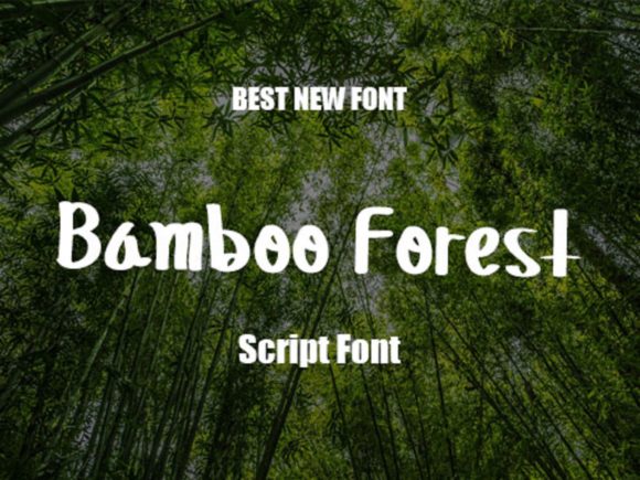 Bamboo Forest Font: Natural Style for Web Design