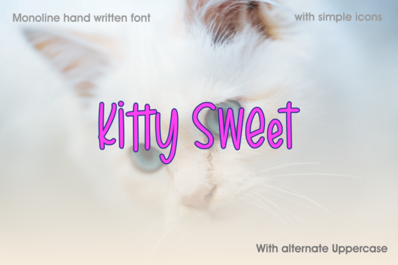 Kitty Sweet: A Friendly Font for Creative Campaigns