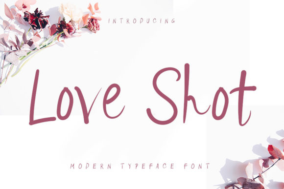 Love Shot Font for Business