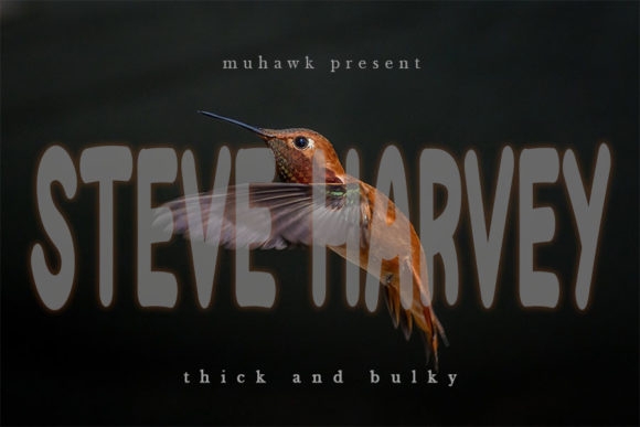 Steve Harvey: A Friendly Handwritten Font